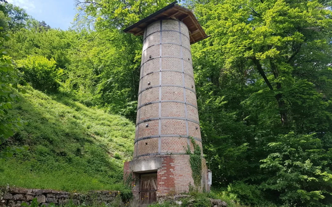 Kandern-Egerten: Geologischer Erlebnispfad im Wollbachtal (Kalkofen-Erlebnisweg)