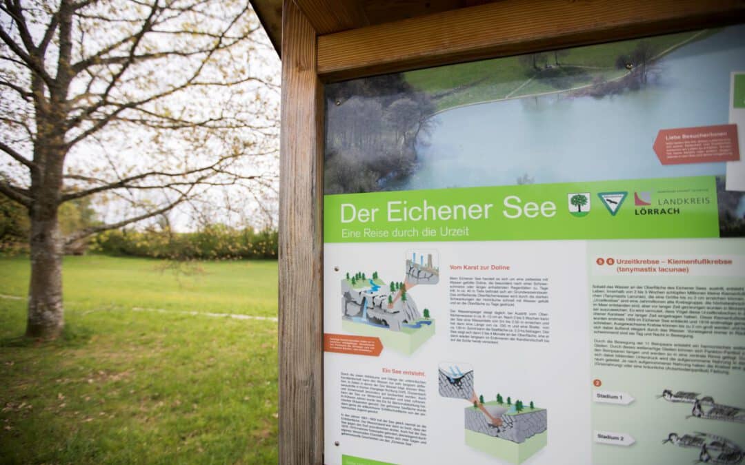 Schopfheim: Naturdenkmal Eichener See