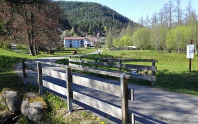 Baiersbronn: Im Tal der Hämmer