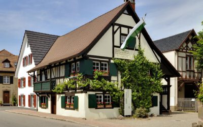 Feldberg: Hebelwanderweg von der Wiesequelle nach Basel