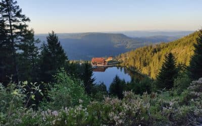 Thermalquellen Baden-Baden (1): Die Sage