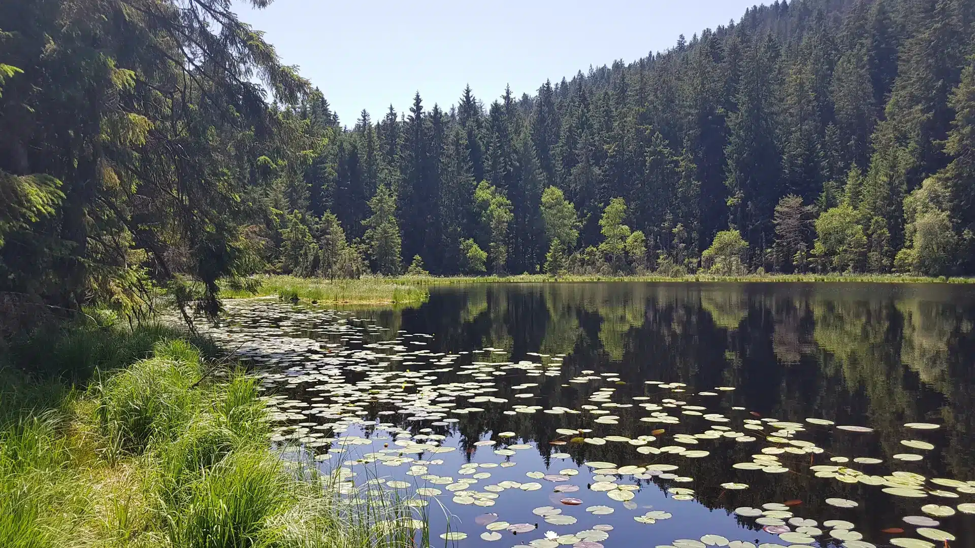 Herrenwieser-See-3