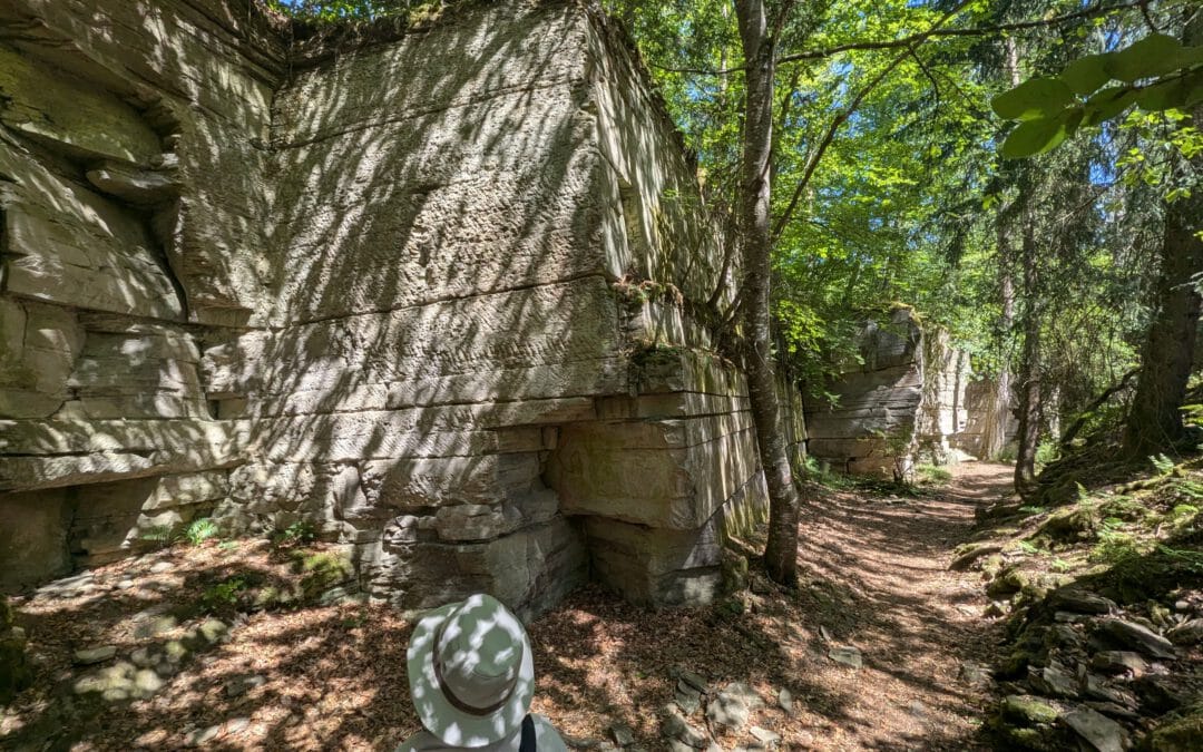 Wendelsheim: Naturlehrpfad